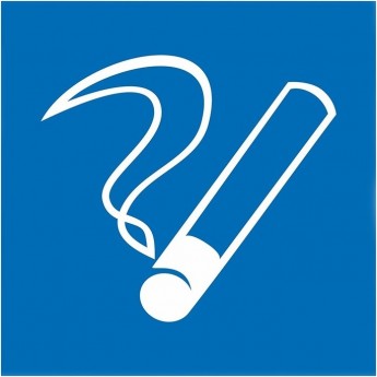 Наклейка информационный знак REXANT МЕСТО КУРЕНИЯ 200х200 Наклейка информационный знак REXANT МЕСТО КУРЕНИЯ 200х200